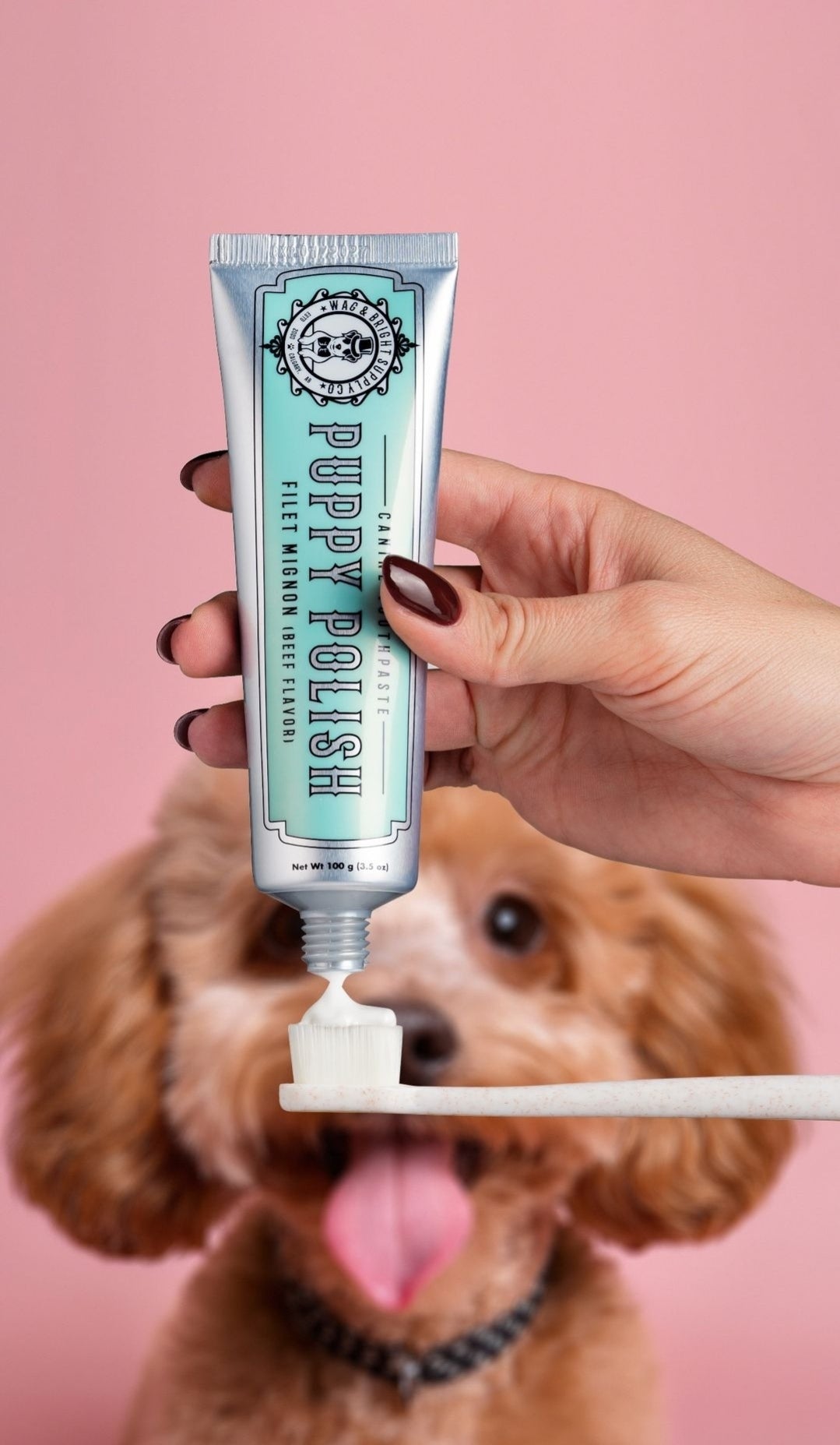 Toothbrush + Toothpaste Bundle - (Bundle and Save)