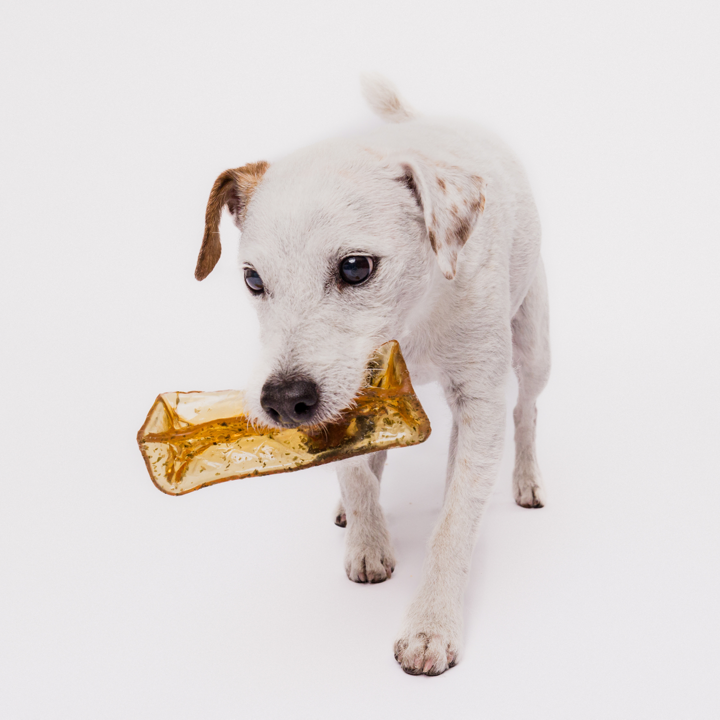 Pork Parsley Mighty Marrows Collagen Dental Chews Large