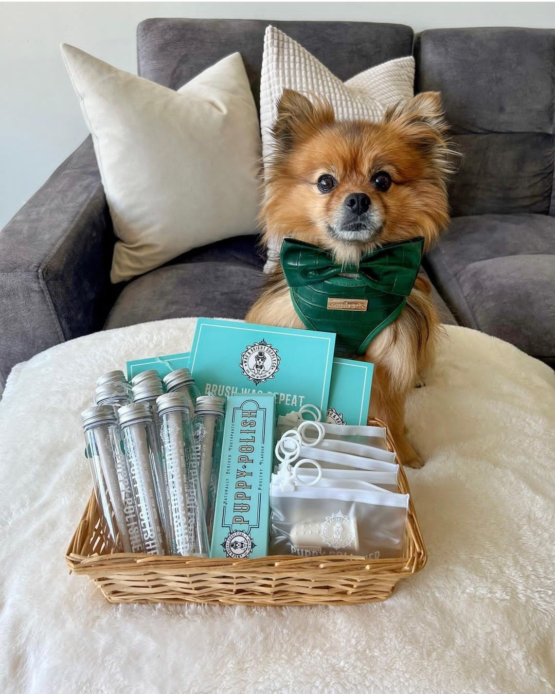 Puppy Polisher Silicone BPA Free Finger Brush