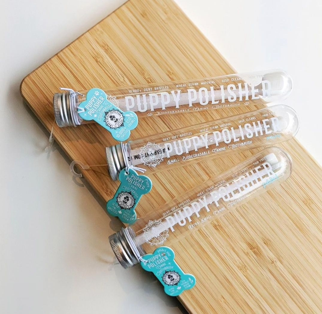Wag & Bright Supply - Puppy Polisher Toothbrushes with 10000 bristles for dogs
