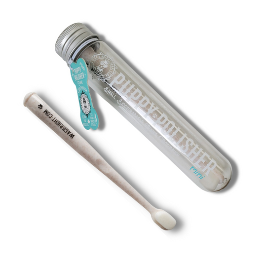 Toothbrush + Toothpaste Bundle