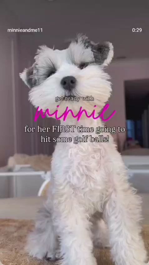 Puppy Polish Toothpaste - Old Fashioned Peanut Butter