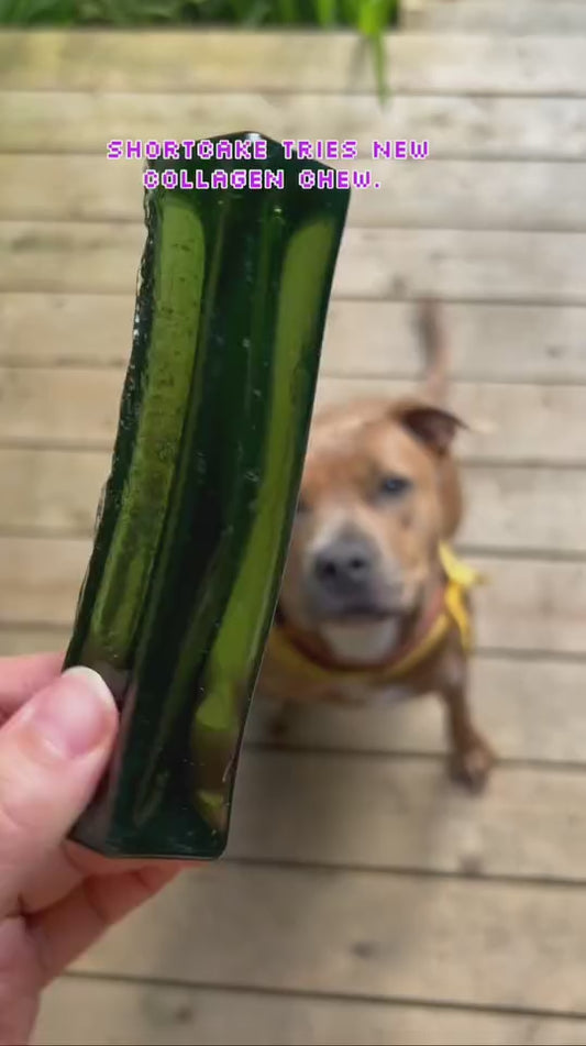 Mighty Marrows - Collagen Dental Chews - By Wag & Bright Supply