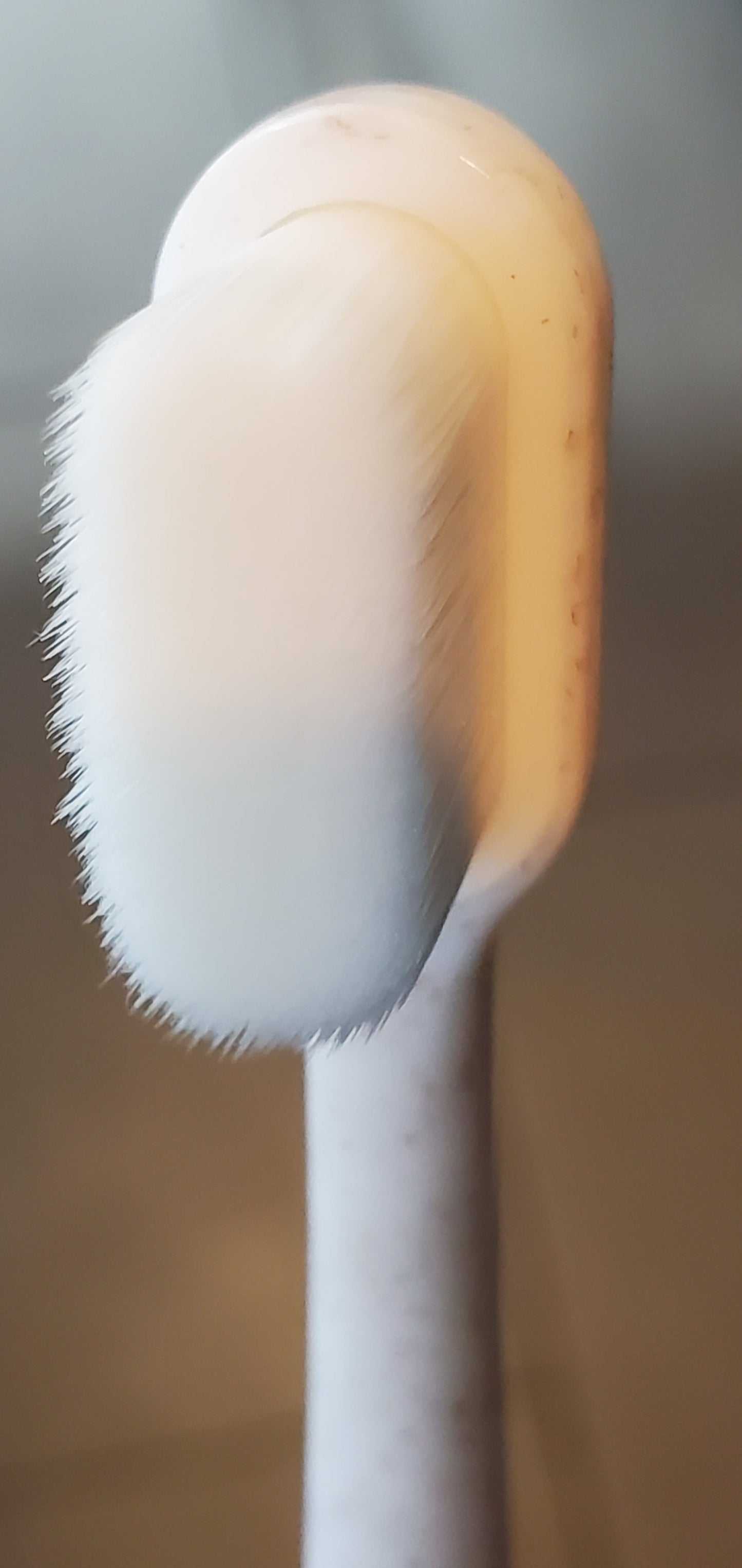Puppy Polisher Eco Toothbrush (Regular size)